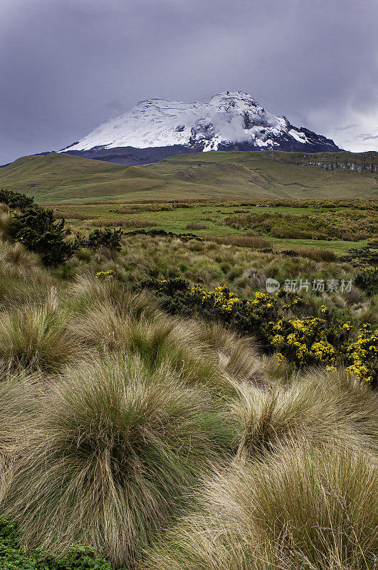 Antisana火山;Volcan Antisana;厄瓜多尔的安提萨纳生态保护区